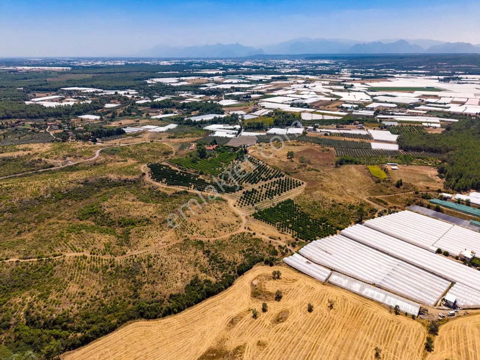 Aksu Kurşunlu 6.979 M2 Satılık Müstakil Bahçe ilan görseli