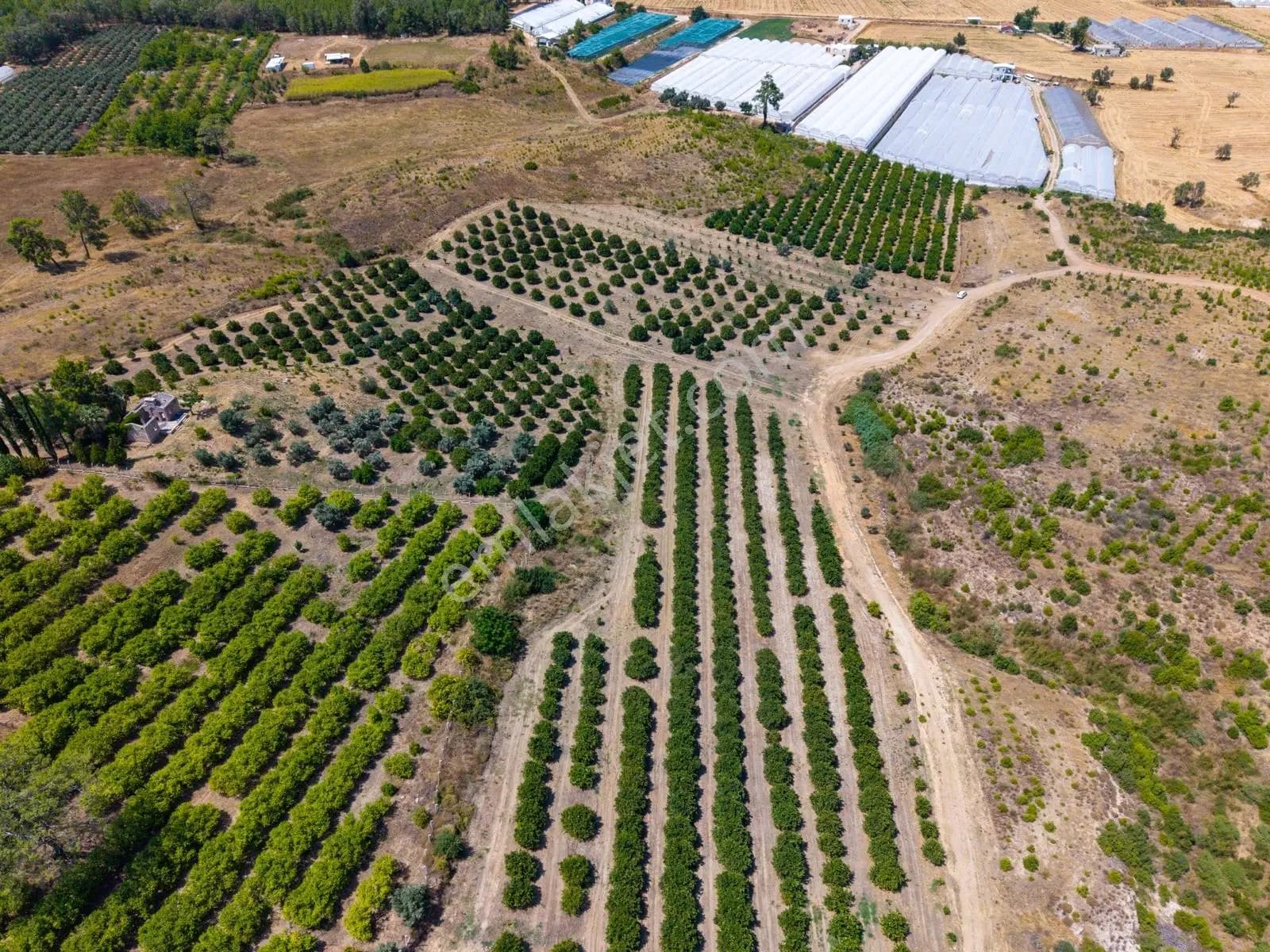 Aksu Kurşunlu 3006 M2 Satılık Müstakil Bahçe